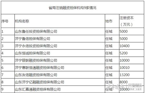 濟寧9家融資擔保機構退出市場，行業規范再升級